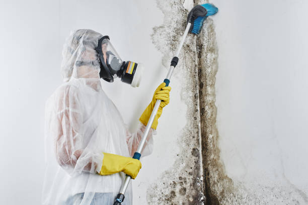Water Damage Restoration in Valley Falls, KS