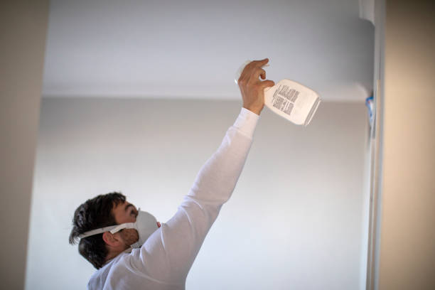 Best Mold Remediation Experts  in Valley Falls, KS