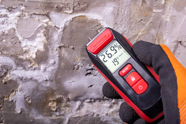 Best Same-Day Mold Removal  in Valley Falls, KS