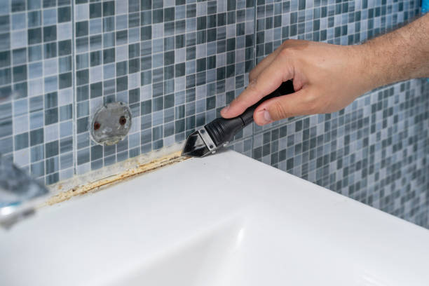 Best Certified Mold Removal  in Valley Falls, KS
