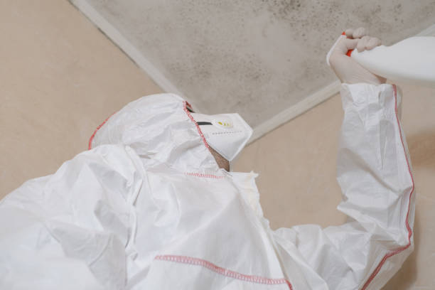 Best Commercial Mold Removal  in Valley Falls, KS