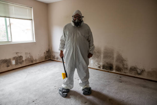 Best Local Mold Removal Service  in Valley Falls, KS