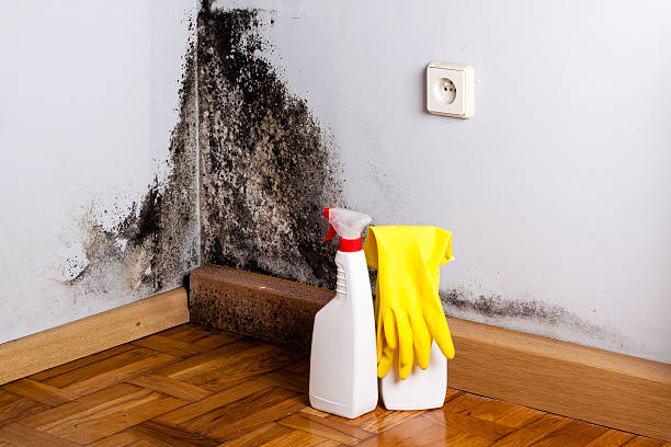 Best Crawl Space Mold Removal  in Valley Falls, KS